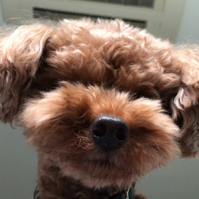 起きて。の画像