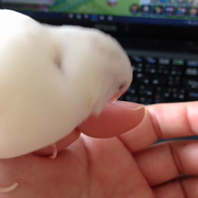 ささくれの画像