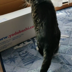 なかよし？の画像