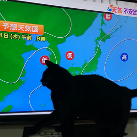 ☆夏バテ☆の画像