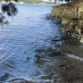 大いなる自然の画像