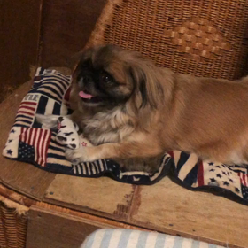 我が家nowの画像