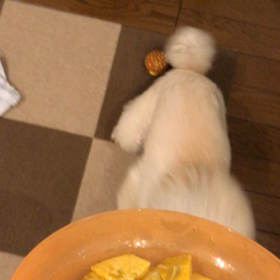 お芋大好きの画像