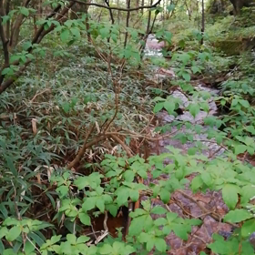 恵那でキャンプの画像