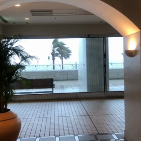 春の嵐！？の画像