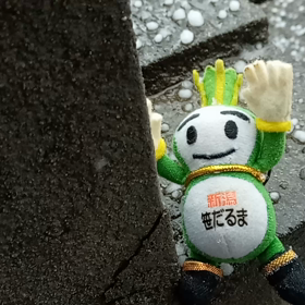 12/30の画像