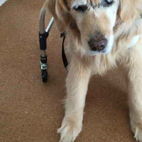 ナイスキャッチ⁈（笑）の画像