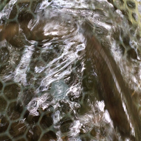 まぁまぁのサイズかなぁの画像