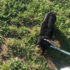 ♪お散歩動画♪代々木公園♪の画像