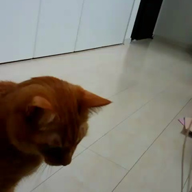 眠くなる？の画像