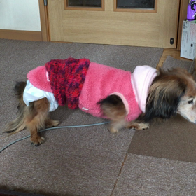 そろそろ車椅子の画像