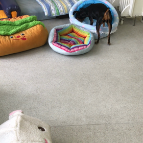 ♪プレイルーム動画♪の画像