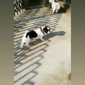 おはようの画像