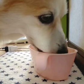 水の飲み方の画像