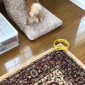 シャンプーの画像