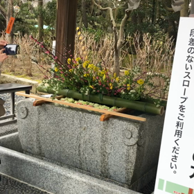 癒しのひとときの画像