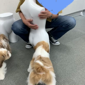 友達になればいいんだ！の画像