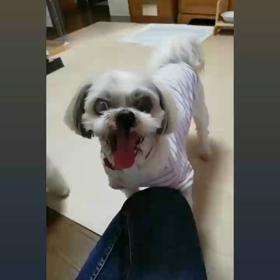 一緒に遊ぼう♬の画像