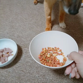 マコ 一旦募集停止の画像