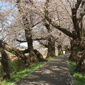 レーベルの住む町の画像