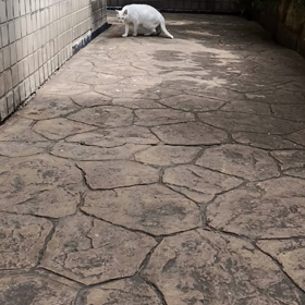 你今天很可愛の画像