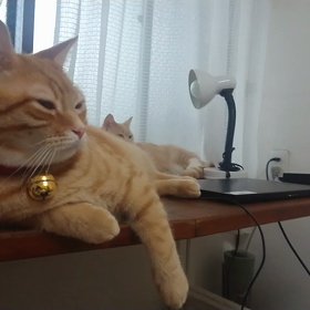 美脚効果あり！ベッドで気楽にトレーニングの画像