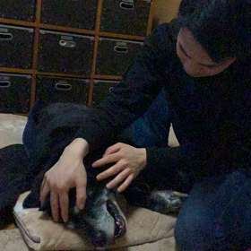 小僧の里帰りの画像