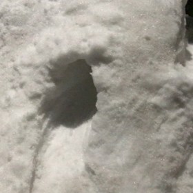 雪にご用心の画像