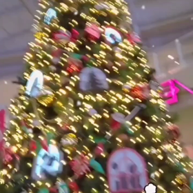 ツリーの前から(*^ω^)★☆の画像