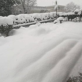 またまた雪景色の画像