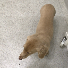 ♪プレイルーム動画♪の画像