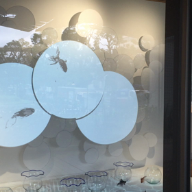 ゆらゆらと。。☆の画像