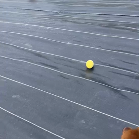 ドッグラン作りの画像