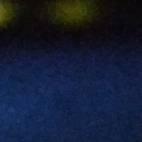 オオカミ？の画像