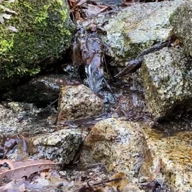 多摩川の源流の画像