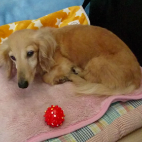 おかえり〜♪ヽ(´▽｀)/の画像