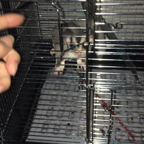 ★ぅちのfamily★の画像