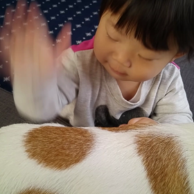 娘の逆襲の画像