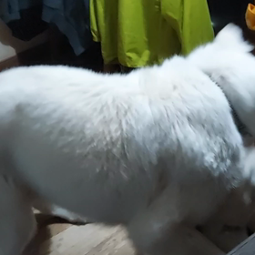 半年ぶりの再開(*^^*)の画像