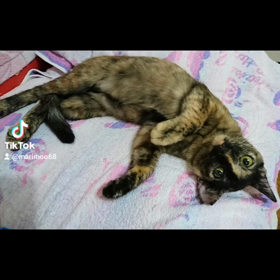 ﾗﾌﾞﾁﾝ♥ありがとう♥の画像