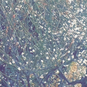 春はもうすぐの画像