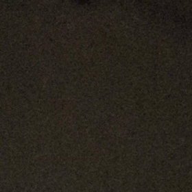 コウモリ見たことある？…←よく見ます！の画像