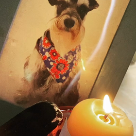 いつも以上にこの時期はの画像