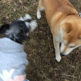 肉食女子からの求愛の画像