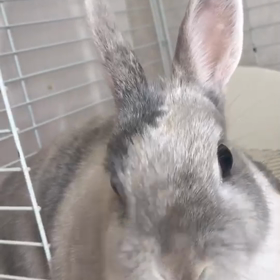 今日も1日お疲れ様❤️の画像