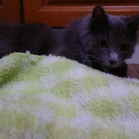 あらら…(；´∀｀)の画像