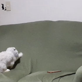 ステージの画像