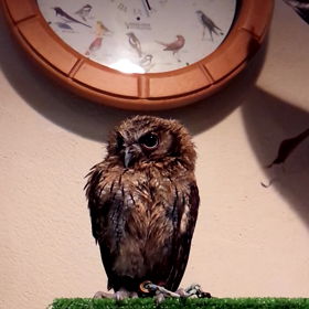 動画です♪の画像