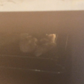 しゅうまい出来上がりの画像