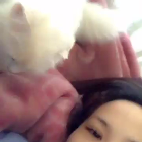 寝起きのふわちゃんの画像